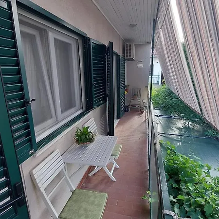 Mariela, * Μούρτερ