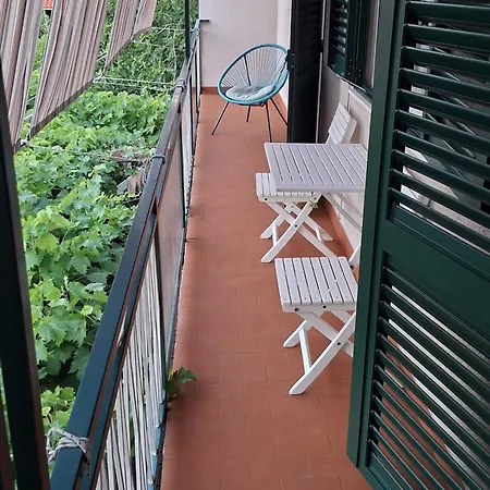 Mariela, Apartment