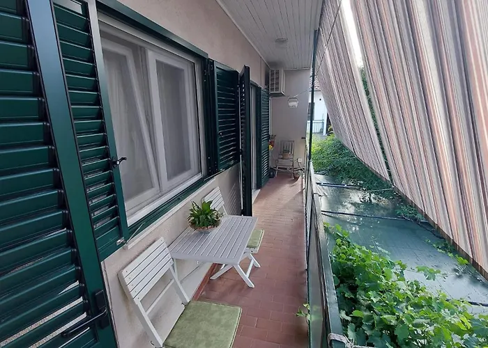 Mariela, * Μούρτερ